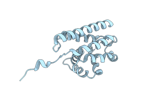 2DWK image