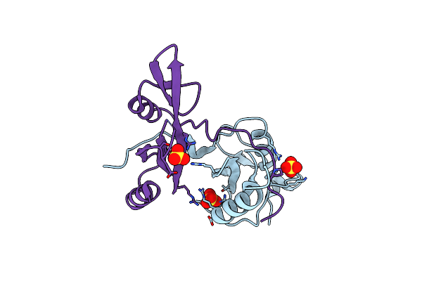 2DX0 image