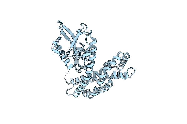 2DX1 image