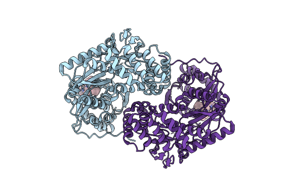 2DXS image