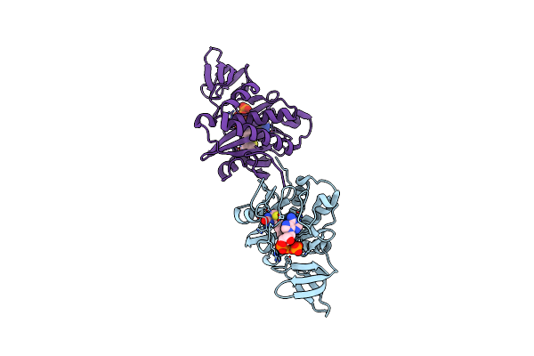 2DXT image