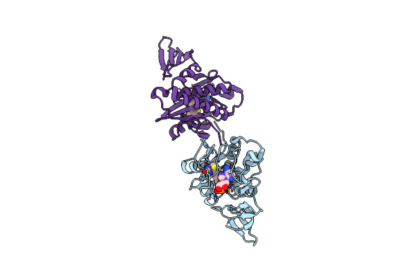 2DXU image