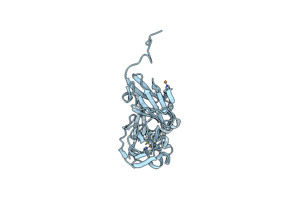 2DY2 image