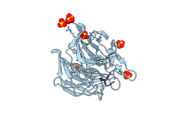 2DYH image