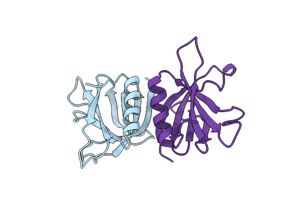 2DYN image