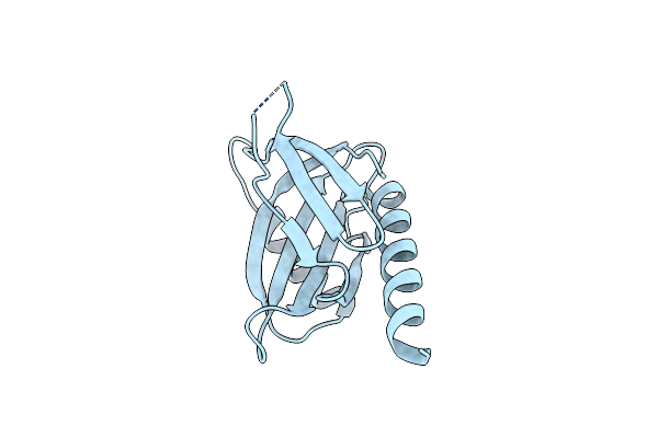 2DYQ image