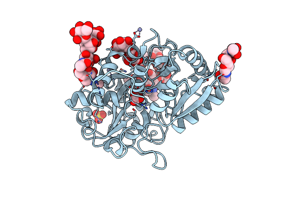 2DYX image