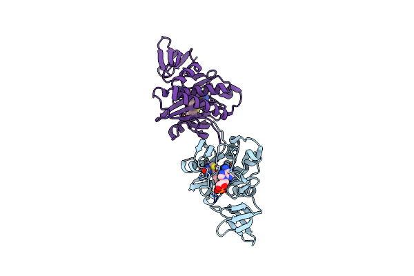 2DZ9 image