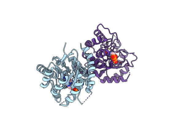2DZB image