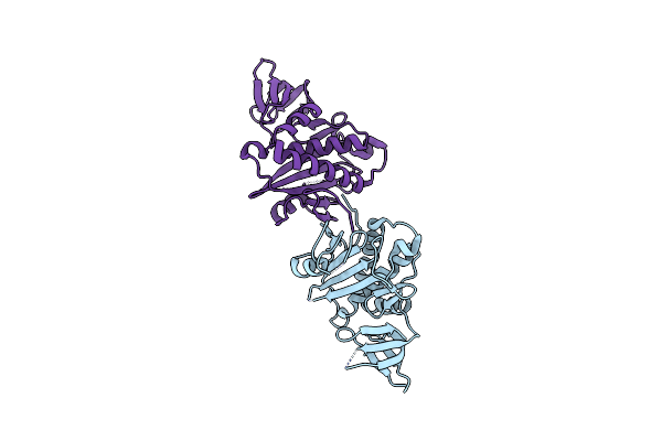 2DZC image