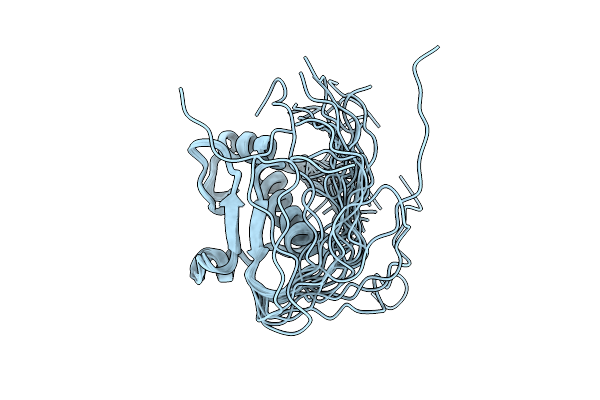 2DZR image