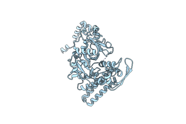 2DZZ image