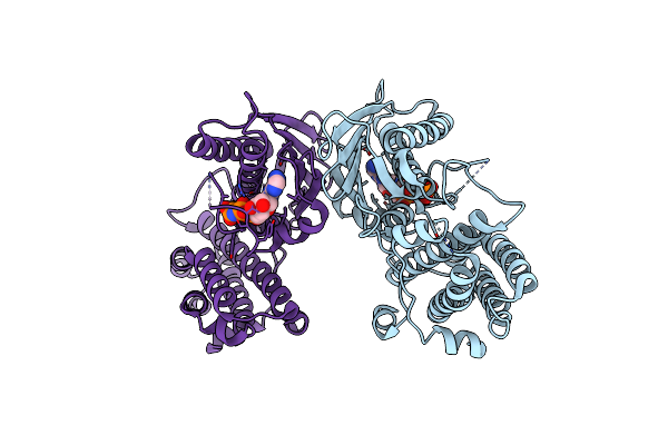 2E0A image