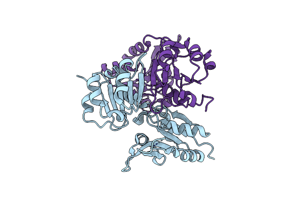 2E0K image