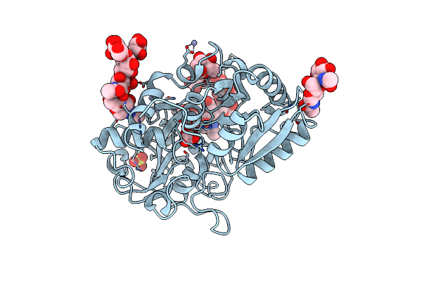 2E0S image