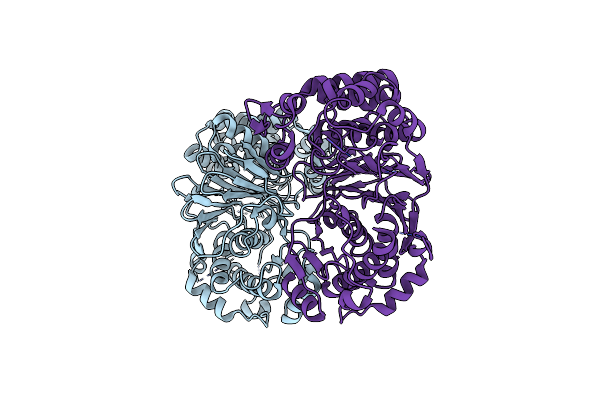 2E0W image