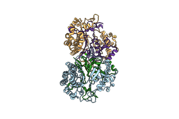 2E0X image