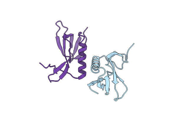 2E12 image