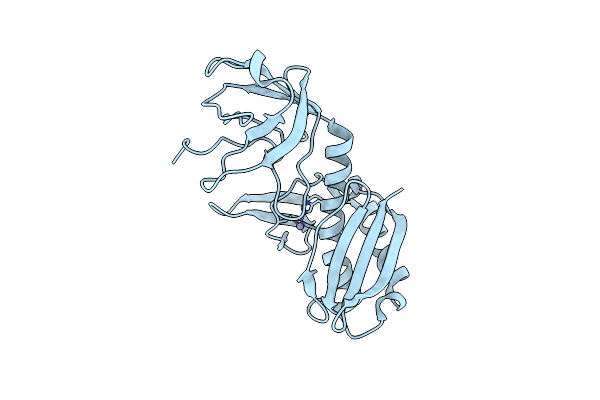 2E1B image