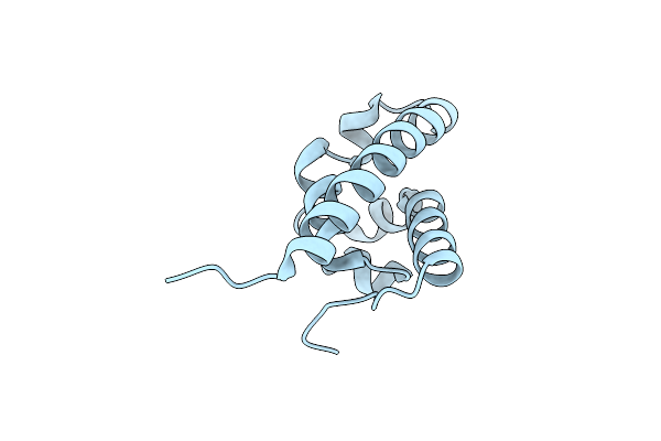 2E1E image
