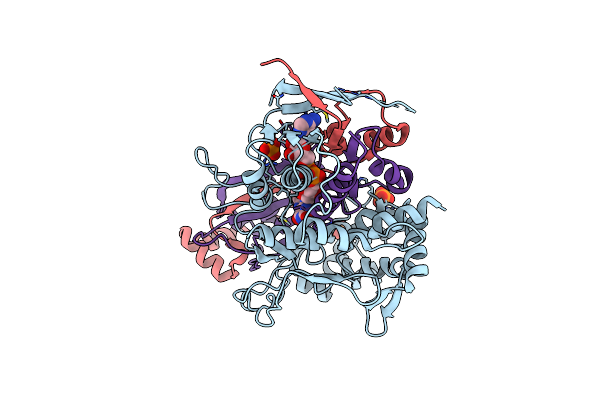 2E1M image