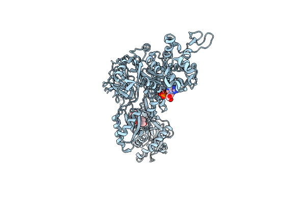 2E1R image