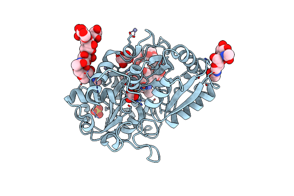 2E1S image
