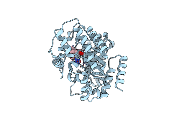 2E1W image