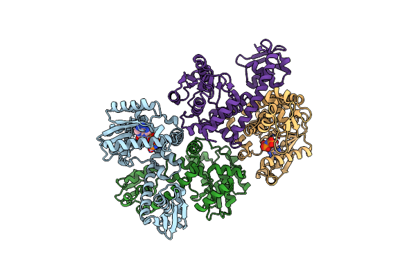 2E21 image