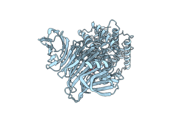 2E24 image