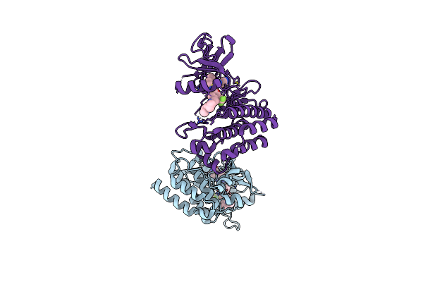 2E2B image