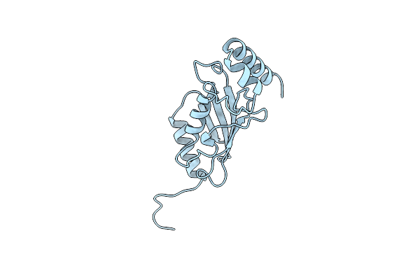 2E2C image