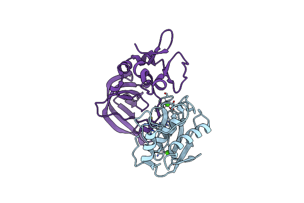 2E2D image