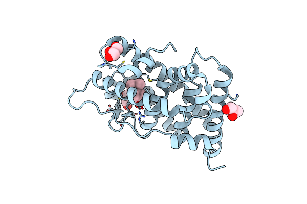 2E2R image
