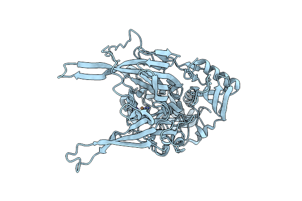 2E2T image