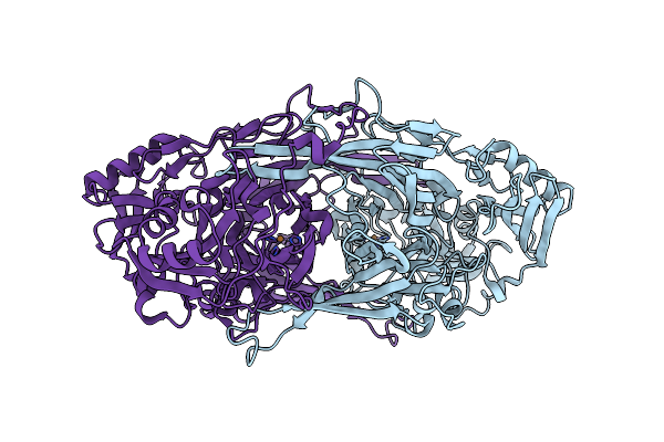 2E2U image
