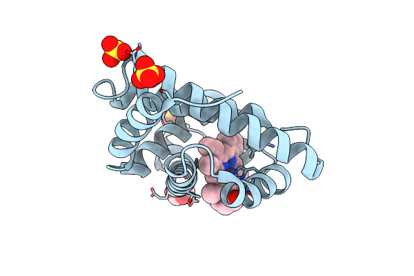2E2Y image