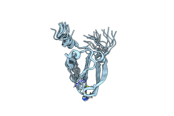 2E2Z image