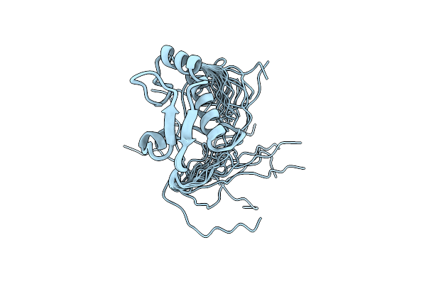 2E3L image