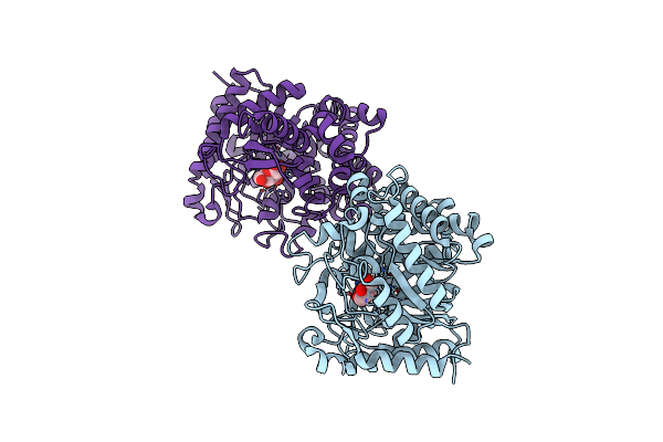2E40 image