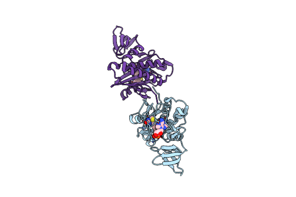 2E41 image