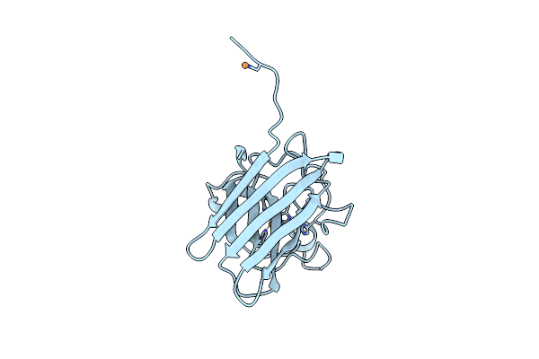 2E46 image