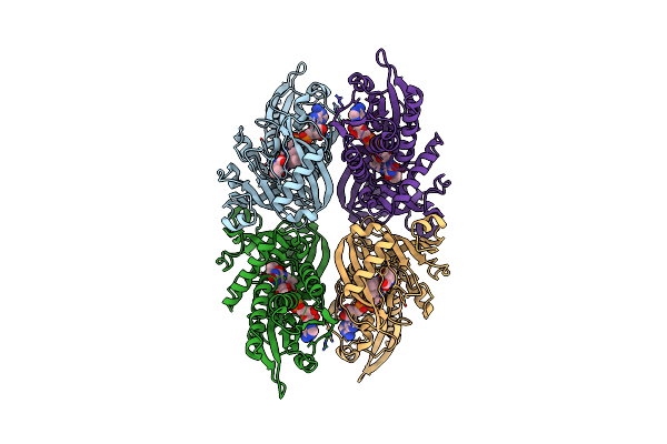 2E4A image