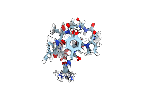 2E4E image