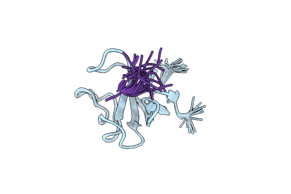 2E4H image