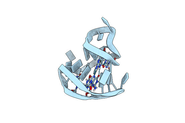 2E4I image