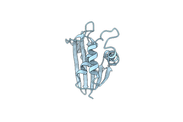 2E4L image