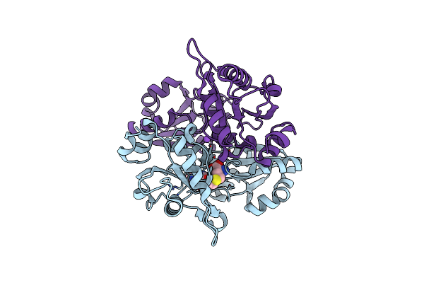 2E4N image