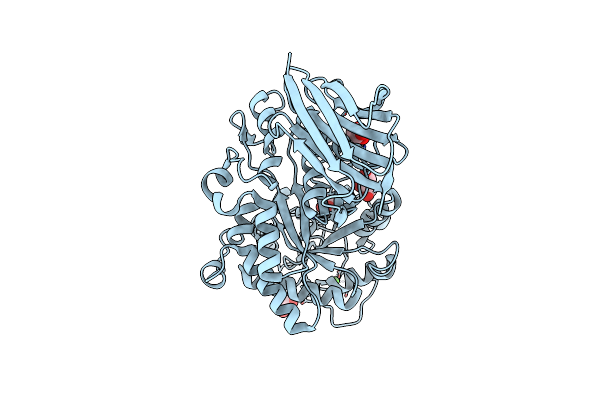 2E4T image
