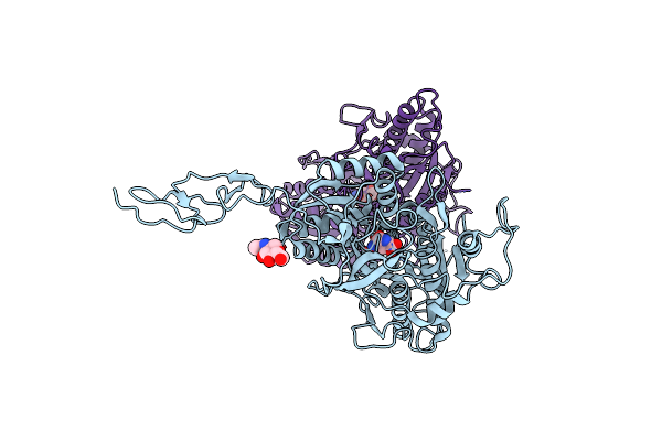 2E4Y image
